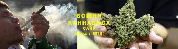 трава Алзамай