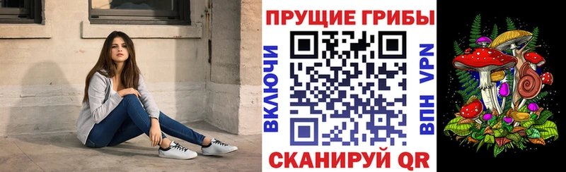 купить наркотик  Лихославль  Псилоцибиновые грибы MAGIC MUSHROOMS 